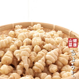 楽天市場 チョロギ 苗の通販
