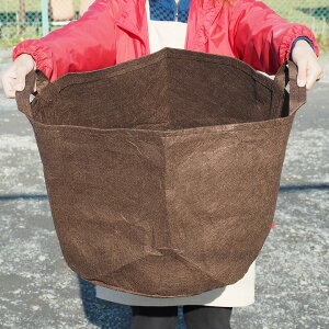 搧 K[fobO yROOT POUCH i[c|[`jz [W50cm H40cm eʁF78L t] K[f|[` TCN Aؔ [obO |pi K[fjO G