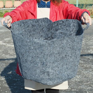 搧 K[fobO yROOT POUCH i[c|[`jz [W50cm H40cm eʁF78L t] K[f|[` TCN Aؔ [obO |pi K[fjO G