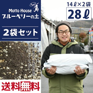  2܃Zbg IWi |{y yu[x[̓yz 14L×2܃Zbgi28Lj u[x[ y v^[ |{y y A |pi K[fjO G kCE