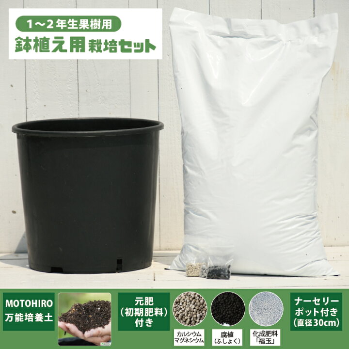 楽天市場 植え付け 簡単 栽培セット 鉢植え用 1 2年生果樹用 栽培セット 培養土 元肥 ナーセリーポット付き 果樹 栽培キット 用土 土壌改良 鉢植え プランター 園芸用品 ガーデニング 資材 苗木は付いておりません 苗木の専門店 グリーンでｇｏ