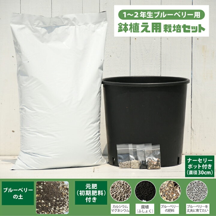 楽天市場 植え付け 簡単 栽培セット 鉢植え用 1 2年生ブルーベリー用 栽培セット ブルーベリーの土 元肥 ナーセリーポット付き 果樹 栽培キット 用土 土壌改良 鉢植え プランター 園芸用品 ガーデニング 資材 苗木は付いておりません 苗木の専門店