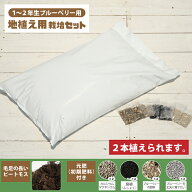 植え付け 簡単 栽培セット 【地植え用（1〜2年生ブルーベリー用 ※苗木2本分）】 栽培セット （ピートモ…