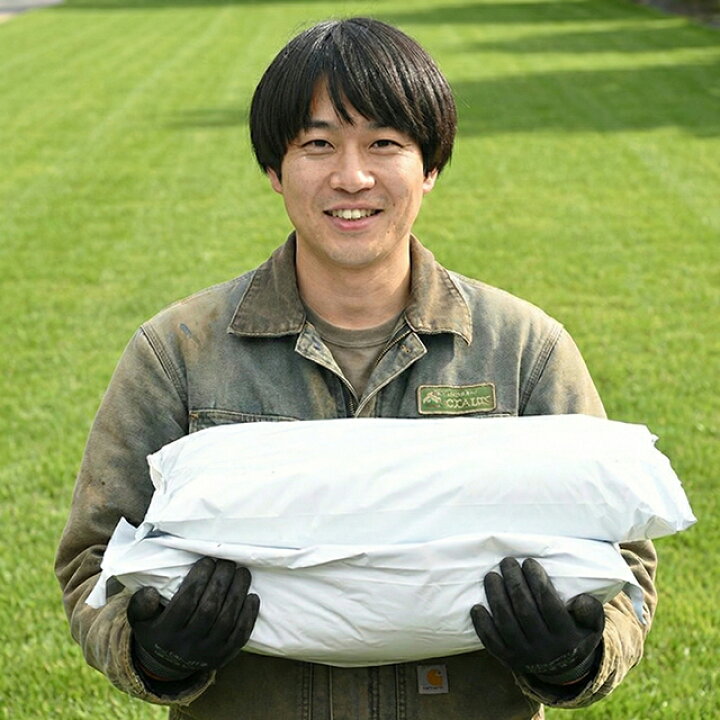 楽天市場 送料無料 2袋セット オリジナル 培養土 ブルーベリーの土 14l入り 2袋セット 28l ブルーベリー 土 プランター 培養土 土壌改良 鉢植え 園芸用品 ガーデニング 雑貨 北海道 沖縄は送料無料適用外です 苗木の専門店 グリーンでｇｏ