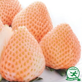 楽天市場 白 いちご 苗の通販