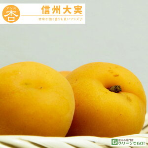 AY c yMB i񂵂イ݁jz 1N ڂ |bgc  ǎq AvRbg c ʎ ʎc