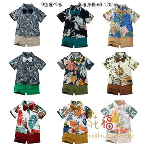 ؍q j̎q xr[ nC ZbgAbv s ][g Cxg j̎q a  \ LbY Vc+V[c+lN^C  am ԕ 3_Zbg Z oq