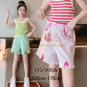 ؍q ̎q fj V[gpc sN O[  V[c i ʊw Ē LbY {gX Y{ fjpc JCC XEB[g ăpc   n V