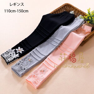 q ̎q MX t H ԕ hJ LbY MX pc {gX Y{ MX sN p[v O[ ubN   ԕ hJ MX i ʉ ʊw