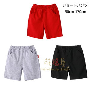 V[gpc LbY 90cm-170cm X|[cEFA X|[cpc j̎q ̎q V[c  Ē V[gpc bh O[ ubN 100% V[gpc ^ ʉ ʊw Lb