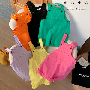 y6%OFFN[|z Tybg pc ̎q j̎q I[o[I[ IW o ubN CG[ O[ p[v Tybg pc LbY I[o[I[ ʉ ʊw Ē o 