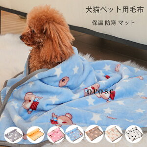 Lybgp ѕz ۉ h }bg NbV A卪AFA ybgp ѕz uPbg Lp }bg q qL ybg g ӂӂ h zc ѕz g RR T