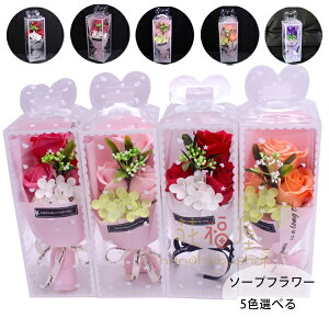  \[vt[ ̓ ԑ \[vt[  J[l[V o t[AWg v[g Vv[t[ {bNX ͂Ȃ  a j oYj