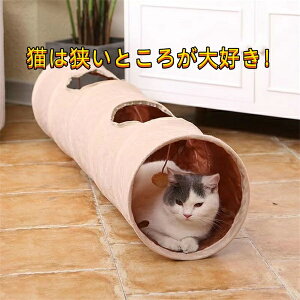 Lgl Lbggl   lC  ^s XgX ܂肽ݎ ybgߋ