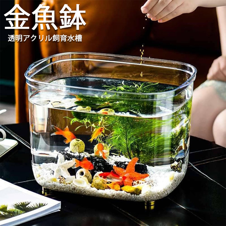 テラリアム アクアリウム 金魚鉢 25cm(金魚、メダカ) - 魚用品