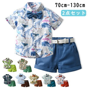 j̎q X[c JWA  ZbgAbv xr[  ㉺Zbg AnVc V[gpc |Pbgt  nC q Ђ xr[X[c LbY r[`EFA c 