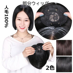 EBbO l100% BEBbO 15cm 20cm 25cm R  ~jEBbO   я   p wAs[X gbvJo[ v[g ȒP |CgEBbO l 