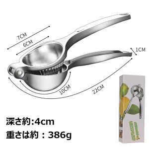 i t[ci A~ ʏ` i 蓮 ~j nhW[T[ t[cڂ W[Xi tbVW[T[ O[vt[c Ɩp ƒp  