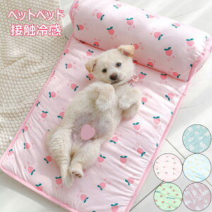 ybgxbh t  L xbh  ⊴ Ђ ʋCD Lp ڐG⊴ ybgp N[\t@xbh ybg}bg L xbh  Ђ ΍ t  \t@   