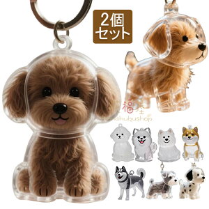 2個セット ペット 遺毛 ケース 透明 キーホルダー 犬毛 収納ボトル ペット 遺毛入れ 犬の毛収納ボトル ペットの毛専用 記念 毛を保管するボトル かわいい ペットひげ・抜け毛収納 携帯 持ち