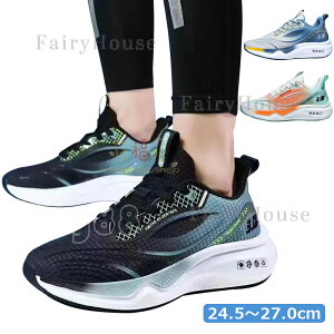 Xj[J[ YV[Y y EH[LOV[Y X|[cV[Y ^C 24.5cm`27.0cm  ʋ ʊw U j WMOV[Y JWA  CR R jO g[