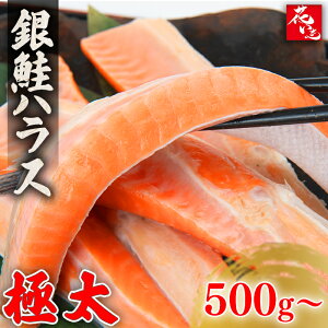 nXy500g`2LzVPnX ͂炷  nX ̂܂ ɂ̋  VP Ԃ s Ђ ٓ 