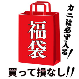 おまかせ福袋 中身は届くまでのお楽しみ！ 海鮮福袋 冷凍食品福袋 花いち 市場 まとめ売り プレゼント ご褒美 海鮮 ギフト
