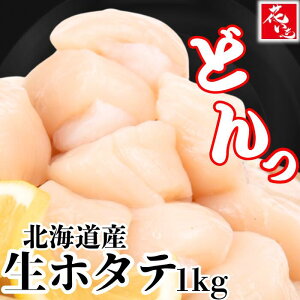 嗱kCYق 󂠂z^e z^e hgz^e Ԃ Mtg  s kCY ̓ i CN hg