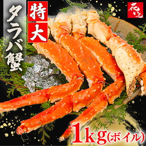 y2w1000~OFFN[|z^oI5L@1(1L) {C^oI ^o znX IX Mtg ^oI Jj ґ  Ԃ CN s j  Mtg  N 