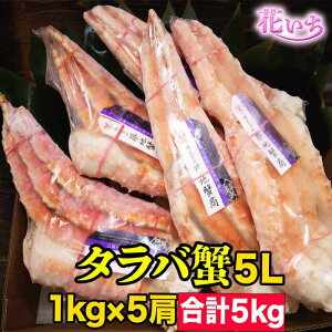 5L@5(5L)@{C^oKj@^oKj@΂Ɂ@Jj@I@ґ@@Ԃ@CN@s@Ⓚ@蕨@Mtg NNn 