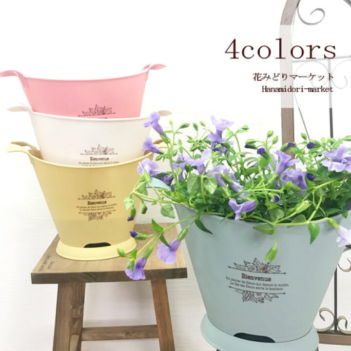 楽天市場 植木鉢 鉢皿付き ブーケポット 5 6号サイズ ホワイト Sピンク Sイエロー Sブルー 全4色 外径21 6 16 7cm 高さ18 4cm鉢 園芸 ガーデニング 寄せ植え 花みどりマーケット 楽天市場店