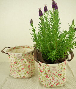 zJo[4p gt[ےobN yLF-RMBzTCYM