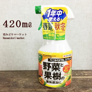 yPi / 3ZbgzE xjJxWtXv[ 420ml ZFw| _   ʎ