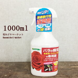 バラ 殺菌剤 Diy 工具の人気商品 通販 価格比較 価格 Com