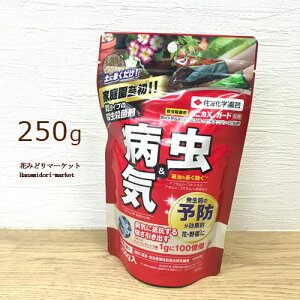 yAzEEۍ xjJXK[h 250O ZFw|E Eۍ _   ʎ