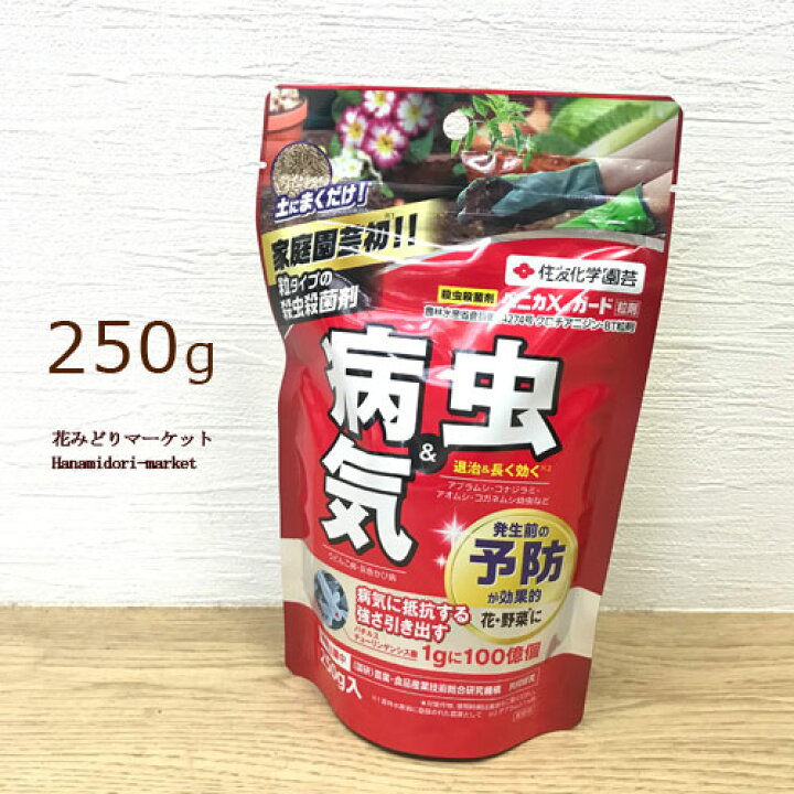 楽天市場】殺虫殺菌剤 ベニカXガード粒剤 250グラム 住友化学園芸殺虫剤 殺菌剤 農薬 花 野菜 果樹 : 花みどりマーケット 楽天市場店 楽天市場】殺虫殺菌剤 ベニカXガード粒剤 250グラム 住友化学園芸殺虫剤 殺菌剤 農薬 花 野菜 果樹 : 花みどりマーケット 楽天市場店