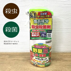 EEۍ J_Z[t 250ml t}L[E Eۍ _   ʎ ǂ񂱕a AuV n_j AIV o