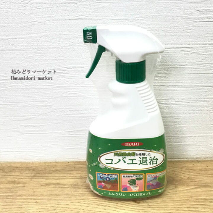 楽天市場 殺虫剤ムシクリン コバエ用スプレー 400ml イカリ消毒 農薬 花 野菜 果樹 コバエ 不快害虫 室内 鉢植え 観葉植物 花みどりマーケット 楽天市場店