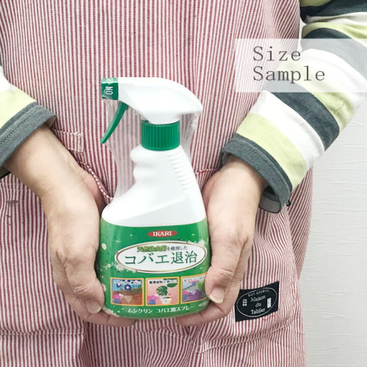 楽天市場 殺虫剤ムシクリン コバエ用スプレー 400ml イカリ消毒 農薬 花 野菜 果樹 コバエ 不快害虫 室内 鉢植え 観葉植物 花みどりマーケット 楽天市場店