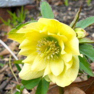 NX}X[Yd IG^Xn[Rԉ CG[n 3|bgcw{X d  zCg _u ԕc h N  Ԓd A VF[h k