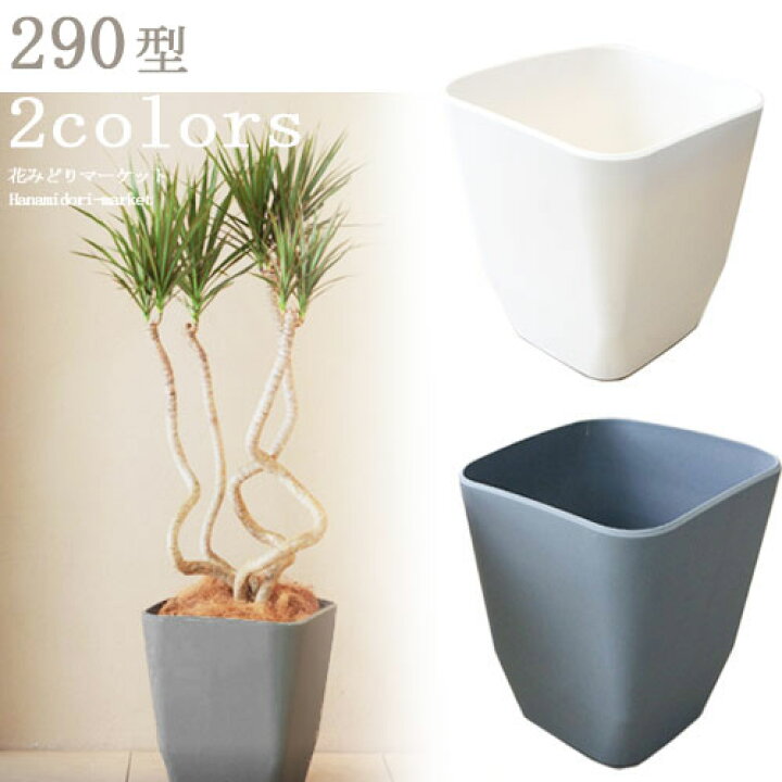 楽天市場 植木鉢 プラスチック製 アトリエシリーズ 290型 スクエア 全2色 29cm 1辺 高さ32 1cmプラ鉢 コンテナ ガーデニング 室内 観葉植物 花みどりマーケット 楽天市場店