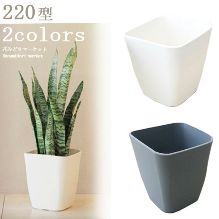 楽天市場 植木鉢 プラスチック製 アトリエシリーズ 2型 スクエア 全2色 22cm 1辺 高さ25 2cmプラ鉢 鉢 園芸 ガーデニング 寄せ植え コンテナ プランター 花みどりマーケット 楽天市場店