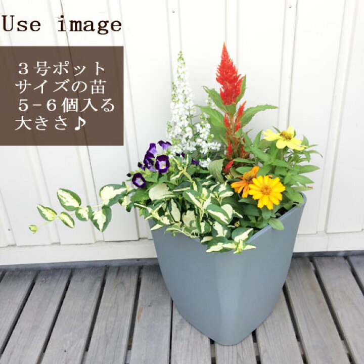 楽天市場 植木鉢 プラスチック製 アトリエシリーズ 2型 スクエア 全2色 22cm 1辺 高さ25 2cm 花みどりマーケット 楽天市場店