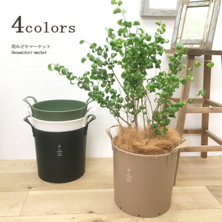 楽天市場 植木鉢 取っ手付きハンドリーポット 8号 鉢部分 外径24 0cm 高さ26 1cm土容量 7リットル 鉢 園芸 ガーデニング 寄せ植え プラスチック プラ鉢 園芸用鉢 プランター コンテナ 寄せ植え 屋内 屋外 花みどりマーケット 楽天市場店