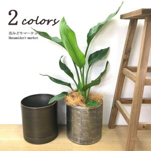 Aؔ MC~^eco|bgMt a:170mm× :170mm S  |p 񂹐A Jo[ AeB[N  