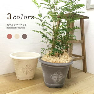 v_|bga:25.5cm × :19cmvX`bNAؔ |p i` AeB[N Rei v^[ yʃuE zCg K bh