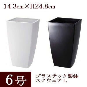 【単品 / 5個セット】プラスチック製植木鉢 スクウェア L 6号 全2色 外径12.3cm (1辺) 高さ20.7cmプラスチック 鉢 園芸用 ガーデニング プラ鉢 四角 背が高い