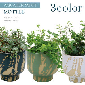 ANAe|bg ϗtAt g 10.5TCYS3F ϗtA S10   ʋ VK[oC yy~A wf C[vc v~ sA zMtg  ֖ c[