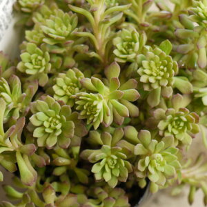 yPi / 3ZbgzZ_ OERtB 2.5`3|bg A