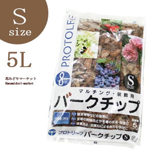 }`Oރo[N`bv STCY 5bg }`O h~ ێ ۉ